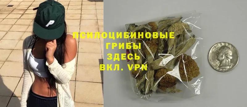 что такое   Серафимович  Псилоцибиновые грибы MAGIC MUSHROOMS 